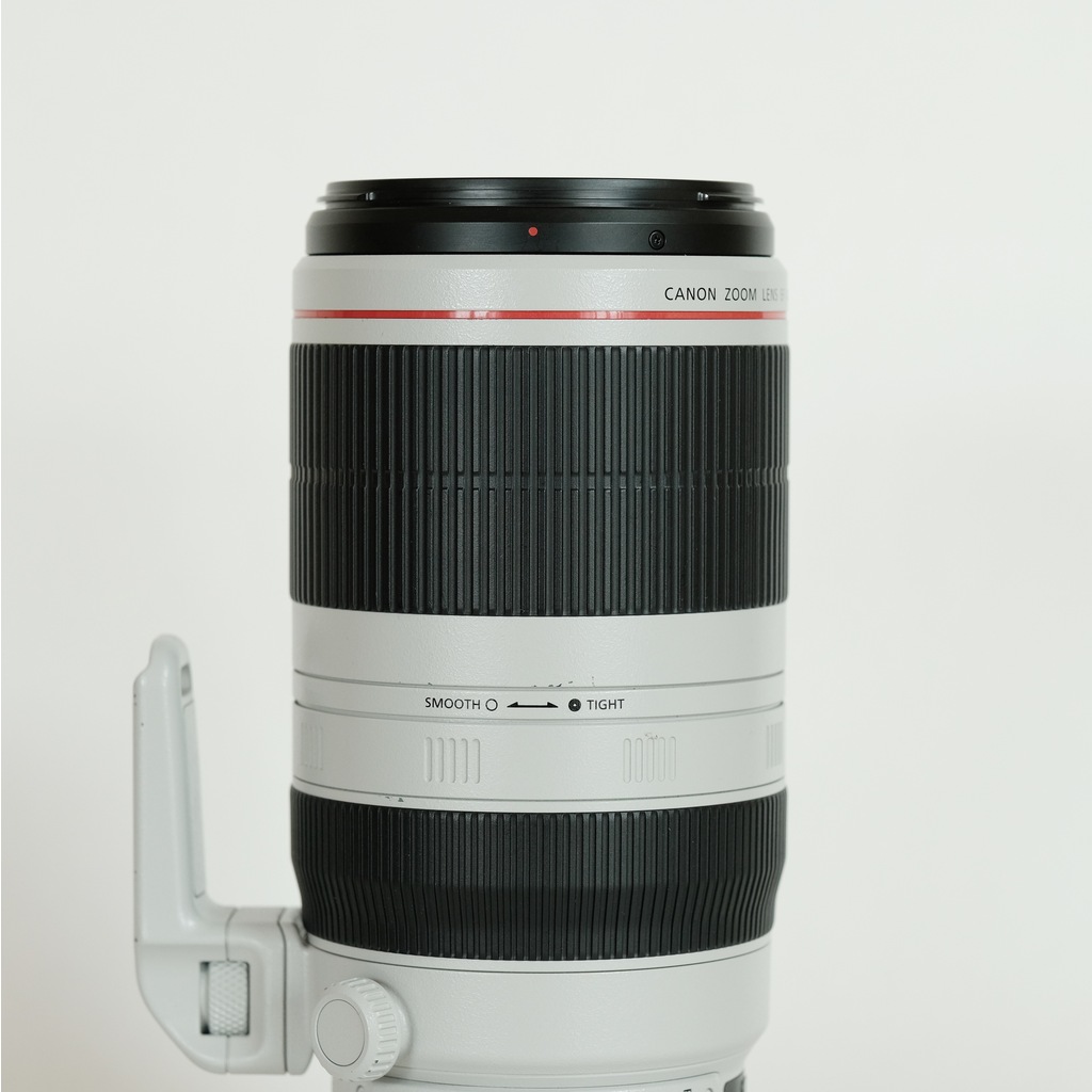 Canon EF100-400mm F4.5-5.6L IS II USM