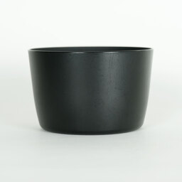 Canon EF-S55-250mm F4-5.6 IS