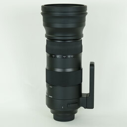 SIGMA 150-600mm F5-6.3 DG OS HSM｜Sports [ニコンF用]