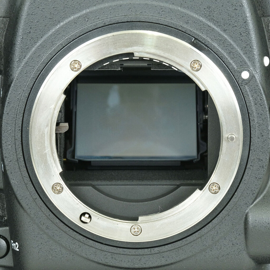 Nikon D5