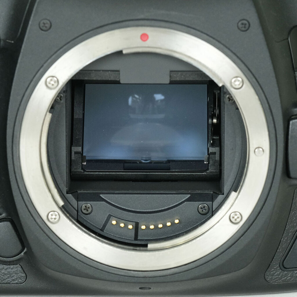 Canon EOS 5D Mark IV