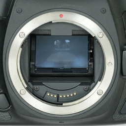 Canon EOS 5D Mark IV