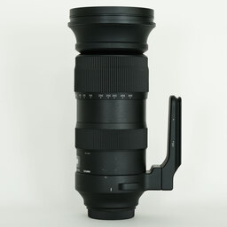 SIGMA 60-600mm F4.5-6.3 DG OS HSM | Sports [キヤノン用]