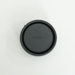 SONY Vario-Tessar T＊ E 16-70mm F4 ZA OSS SEL1670Z