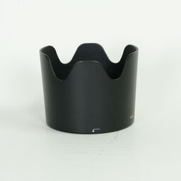 Nikon AF-S VR Zoom-Nikkor 70-300mm F4.5-5.6G IF-ED