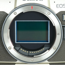 Canon EOS RP ボディ  ゴールド