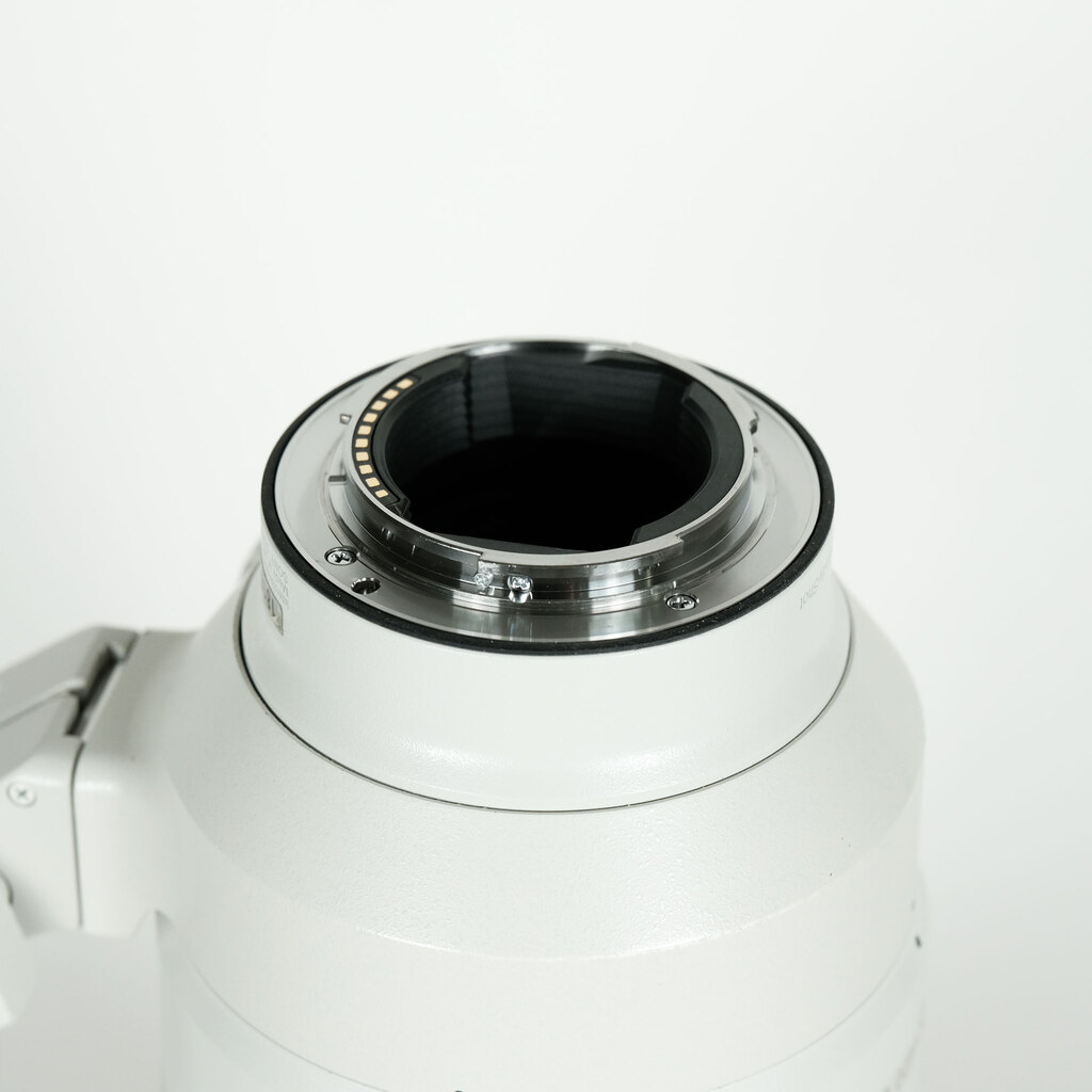 SONY FE 100-400mm F4.5-5.6 GM OSS SEL100400GM