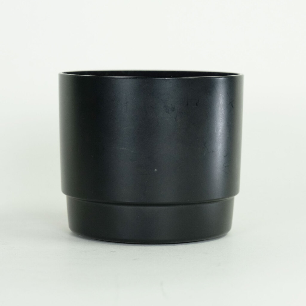 Canon EF100mm F2.8 マクロ USM