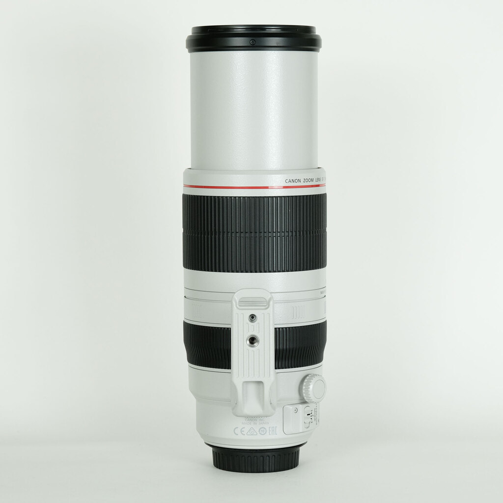 Canon EF100-400mm F4.5-5.6L IS II USM