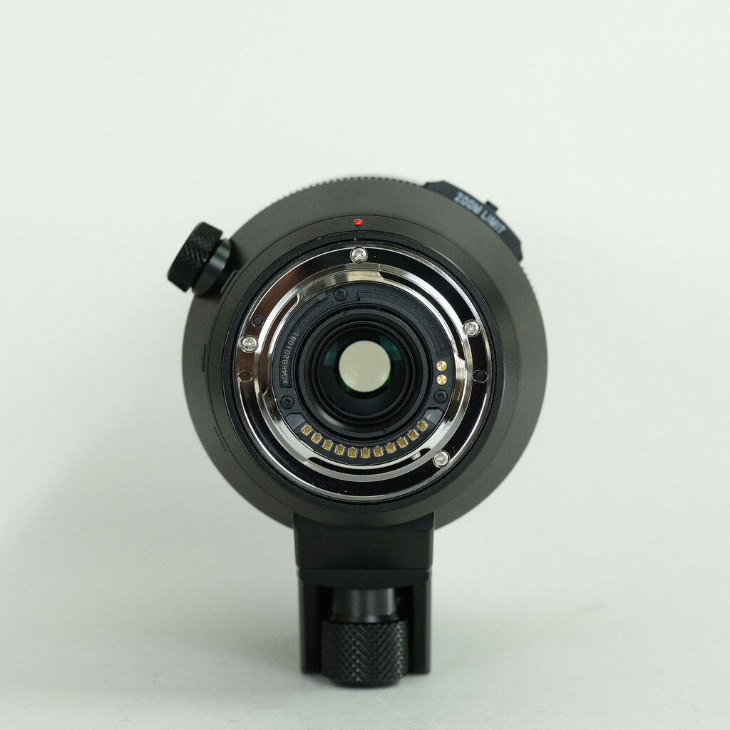 Panasonic LEICA DG VARIO-ELMAR 100-400mm / F4.0-6.3 II ASPH. / POWER O.I.S.