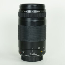 Canon EF75-300mm F4-5.6 II USM