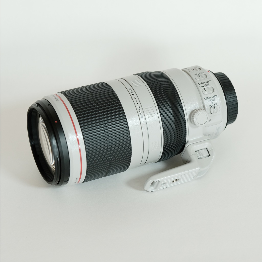 Canon EF100-400mm F4.5-5.6L IS II USM