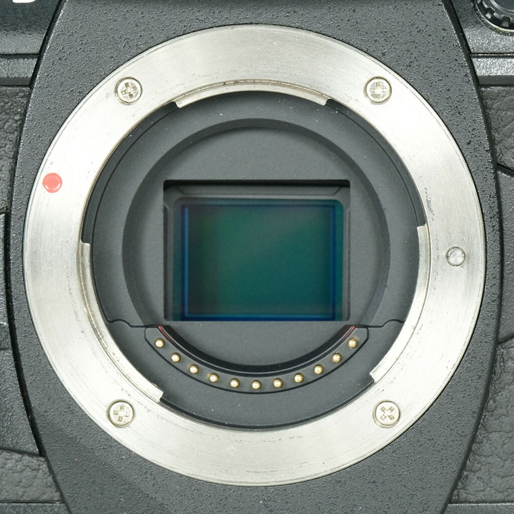 OLYMPUS OM-D E-M1 Mark II