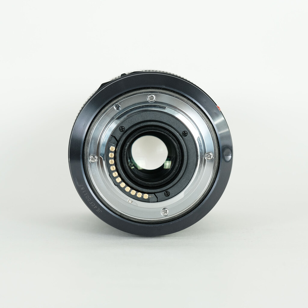 Panasonic LUMIX G X VARIO 35-100mm F2.8 POWER O.I.S. H-HS35100