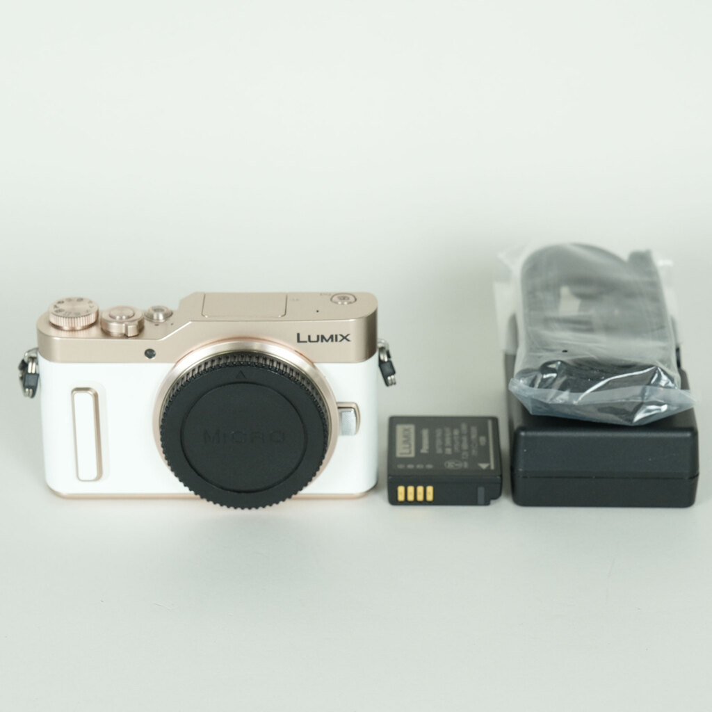 Panasonic LUMIX DC-GF90 �{�f�B �z���C�g