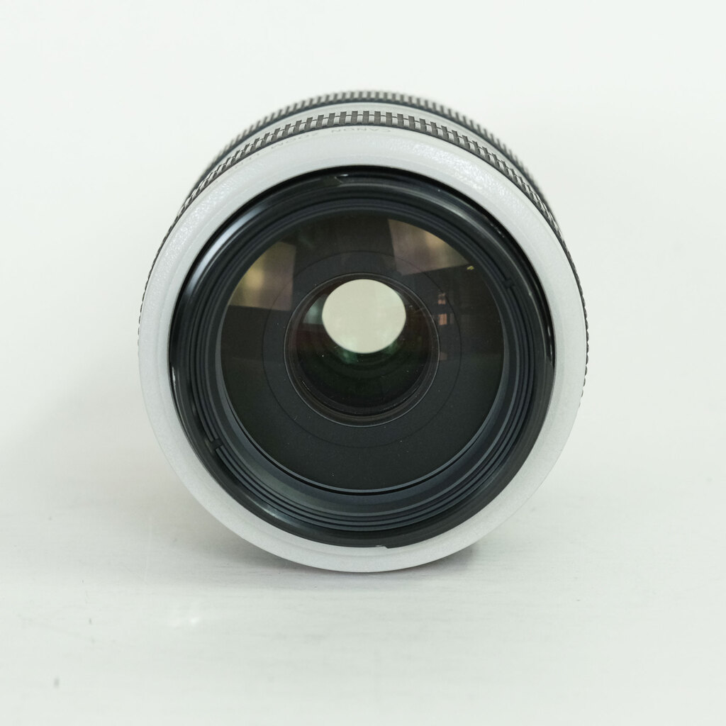 Canon EF70-300mm F4-5.6L IS USM