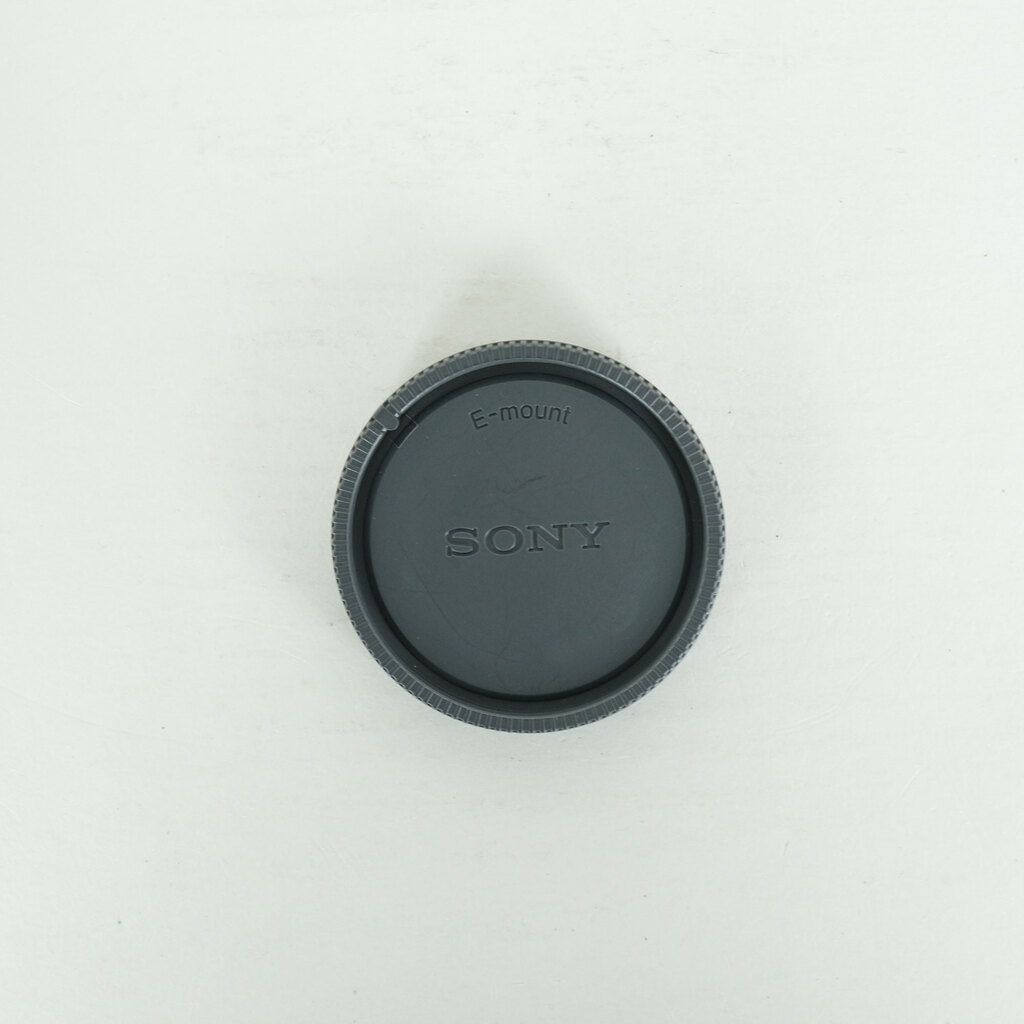 SONY FE 24-105mm F4 G OSS SEL24105G