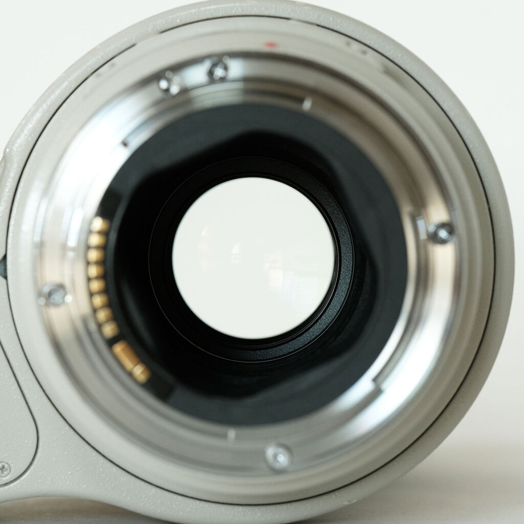 Canon 300mm F4L IS USM