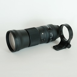 SIGMA 150-600mm F5-6.3 DG OS HSM | Contemporary [キヤノンEF用]