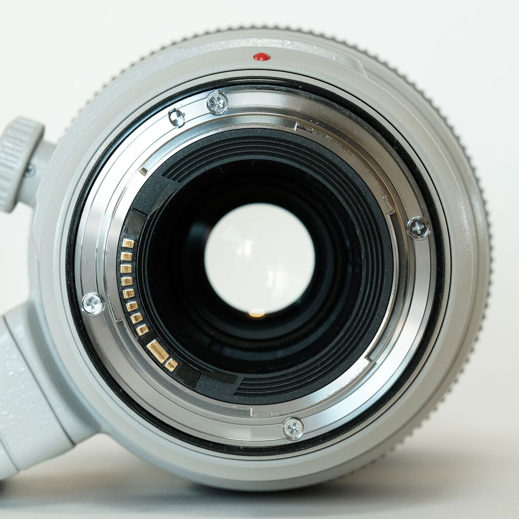 Canon EF100-400mm F4.5-5.6L IS II USM