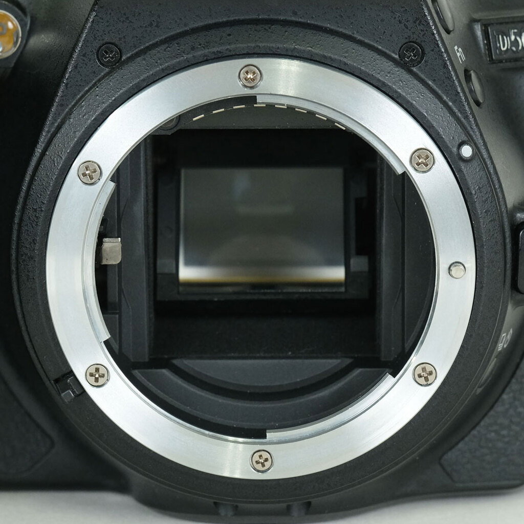 Nikon D5600