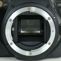 Nikon D5600