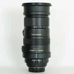 SIGMA APO 50-500mm F4.5-6.3 DG OS HSM [ニコンF用]