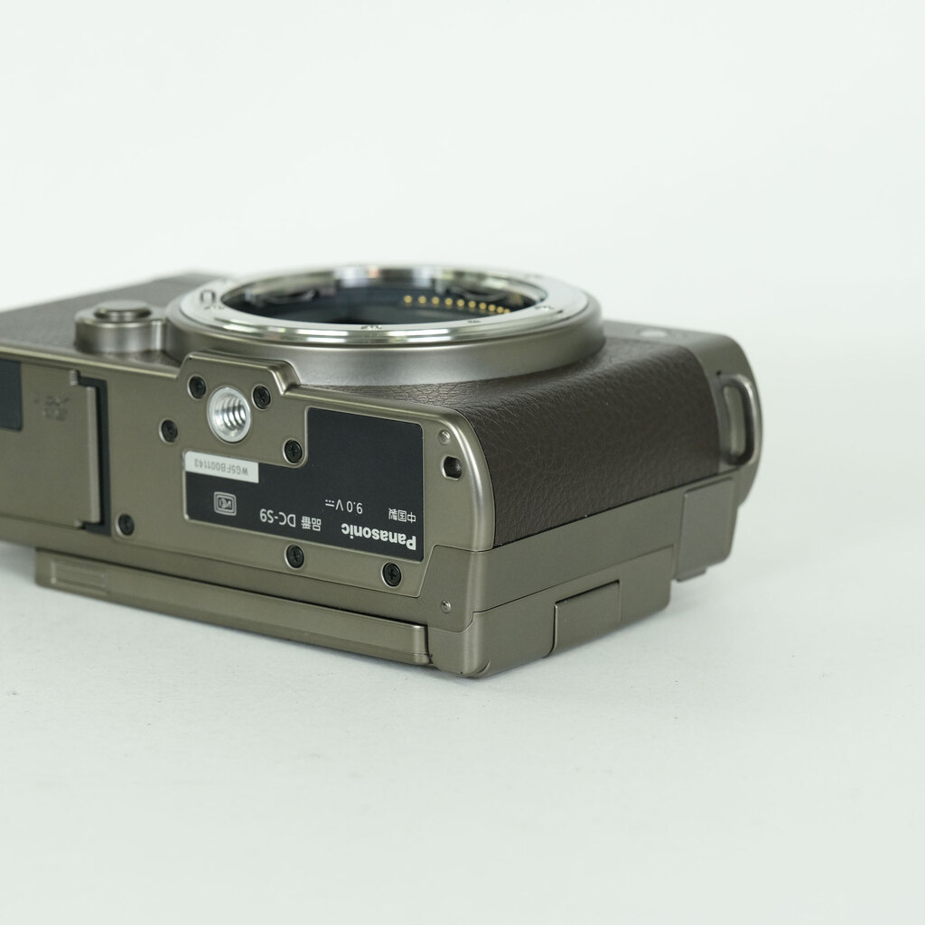 Panasonic LUMIX DC-S9N-N ZLK 広角ズームレンズキット チタンゴールド