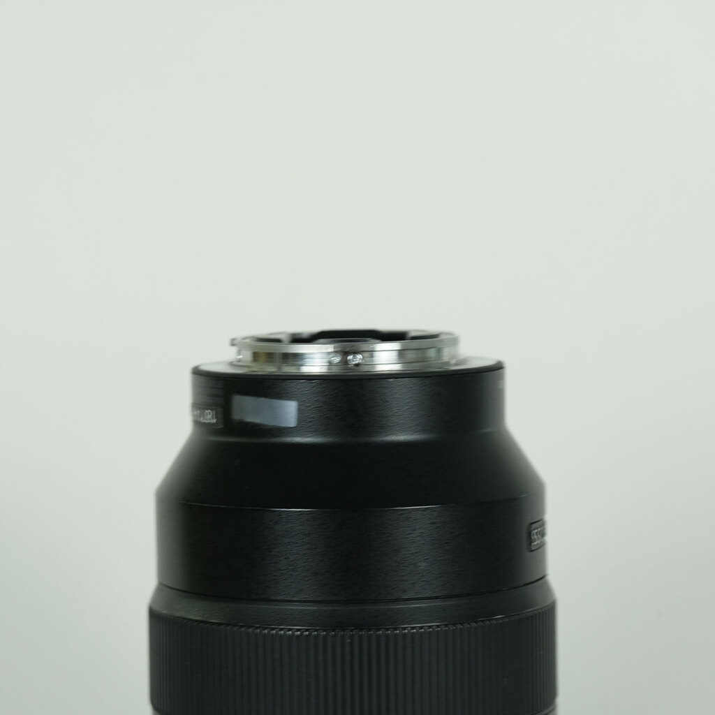 SONY FE 24-105mm F4 G OSS SEL24105G
