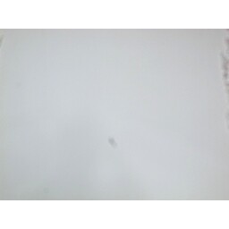 RICOH GR DIGITAL III