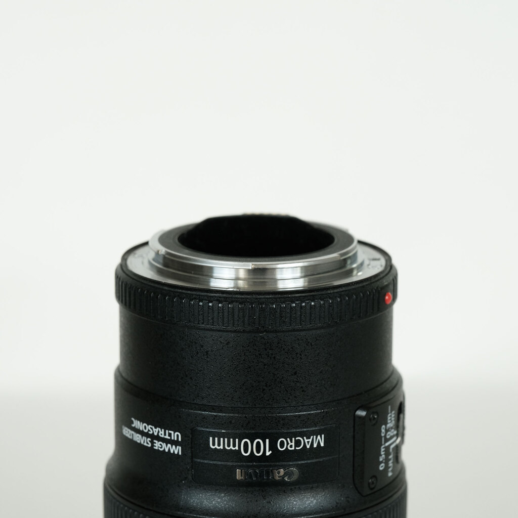 Canon EF100mm F2.8Lマクロ IS USM