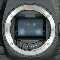 Canon EOS 5D Mark IV