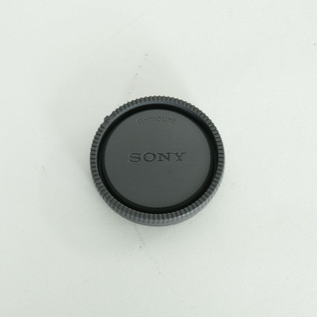 SONY FE 24-105mm F4 G OSS SEL24105G