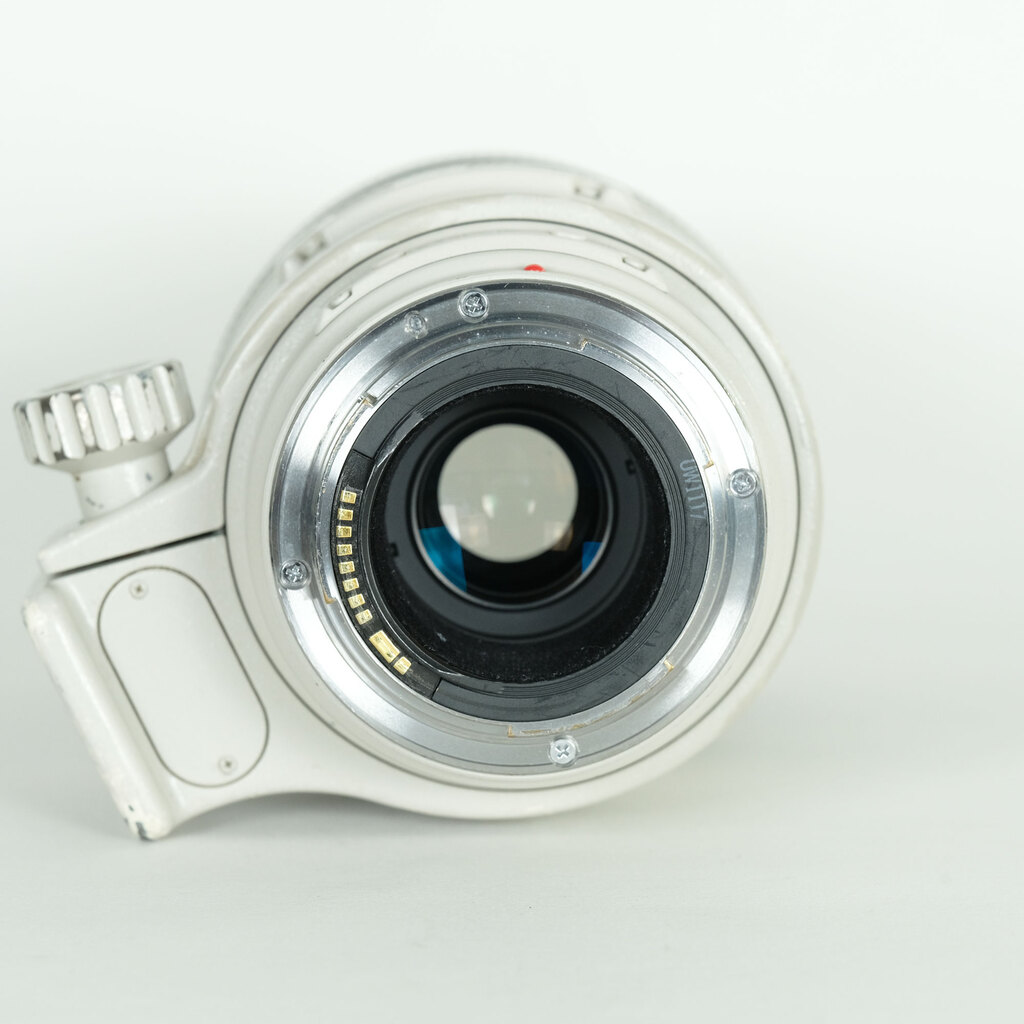 Canon EF100-400mm F4.5-5.6L IS USM