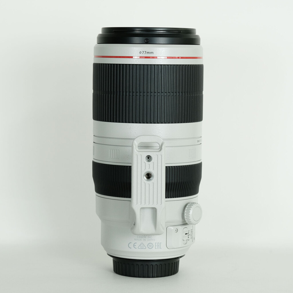 Canon EF100-400mm F4.5-5.6L IS II USM