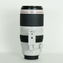 Canon EF100-400mm F4.5-5.6L IS II USM