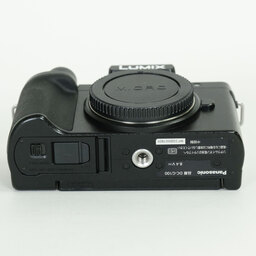 Panasonic LUMIX DC-G100 Panasonic LUMIX DC-G100