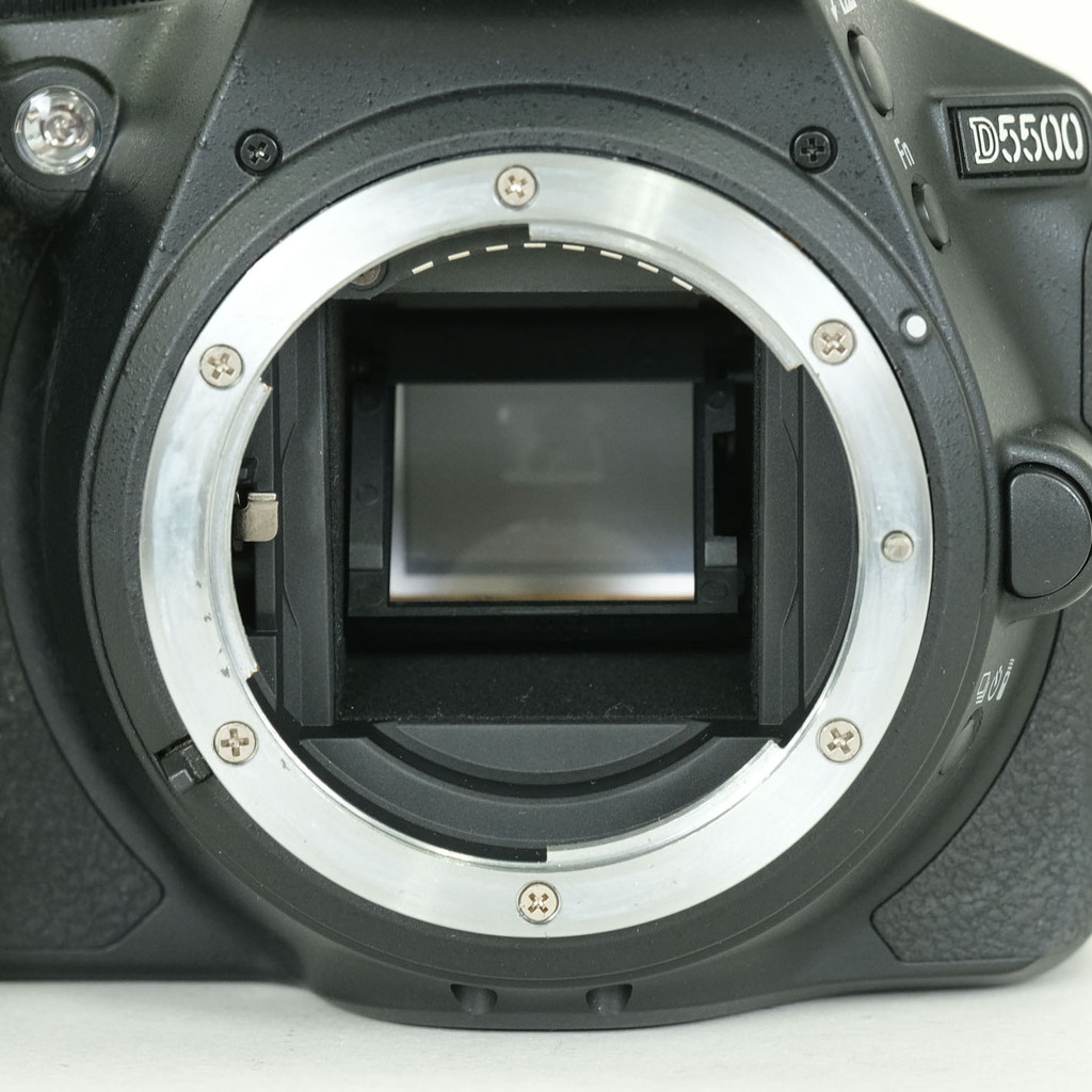Nikon D5500