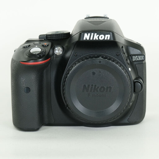 Nikon D5300