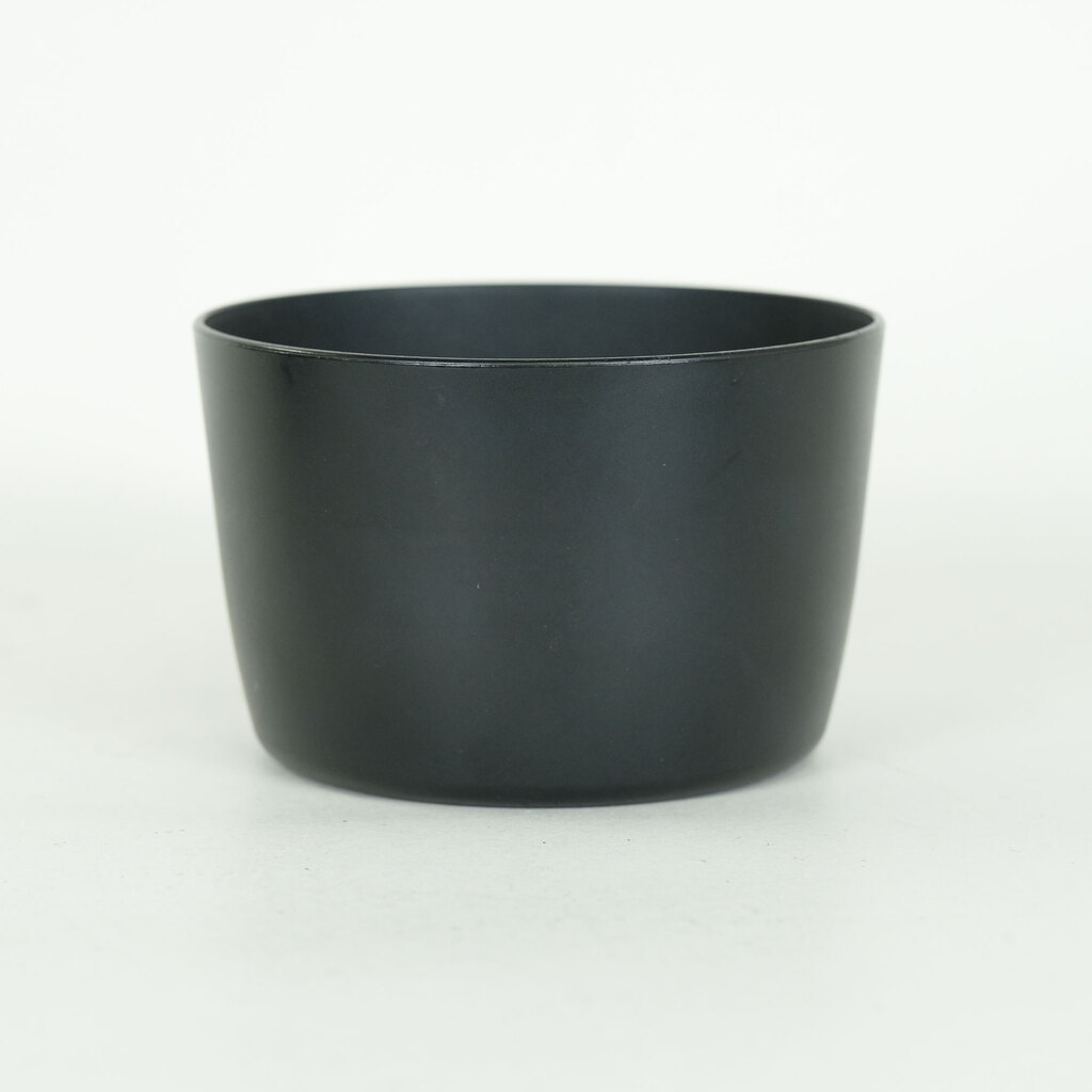 Canon EF-S55-250mm F4-5.6 IS