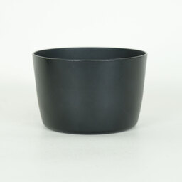 Canon EF-S55-250mm F4-5.6 IS