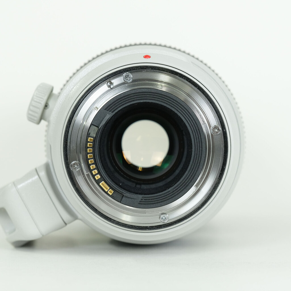 Canon EF100-400mm F4.5-5.6L IS II USM