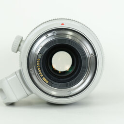 Canon EF100-400mm F4.5-5.6L IS II USM