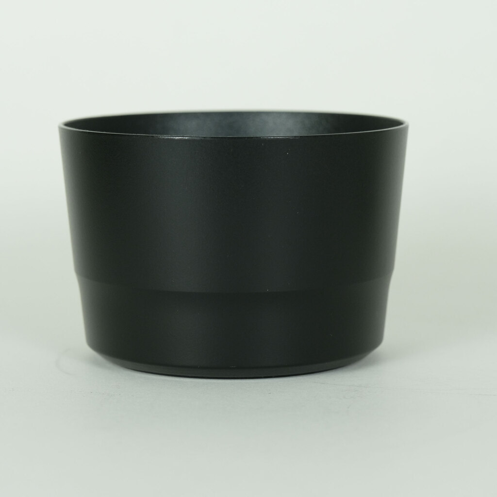 Canon EF-S55-250mm F4-5.6 IS STM