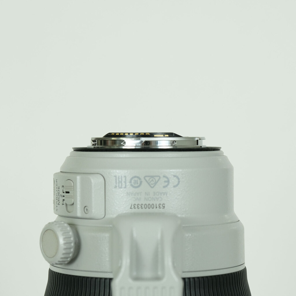 Canon EF100-400mm F4.5-5.6L IS II USM