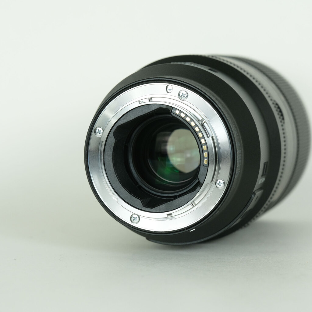 SONY FE 100mm F2.8 Macro GM OSS SEL100M28GM