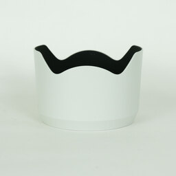 SONY FE70-200mm F4 Macro G OSS II SEL70200G2