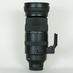 SIGMA 150-600mm F5-6.3 DG DN OS｜Sports [ソニーE用]