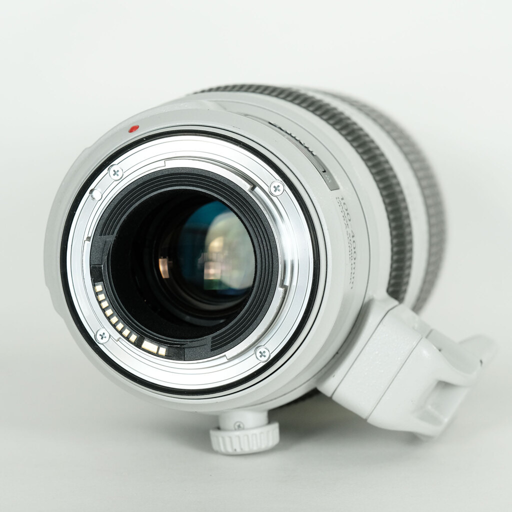 Canon EF100-400mm F4.5-5.6L IS II USM