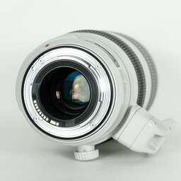 Canon EF100-400mm F4.5-5.6L IS II USM